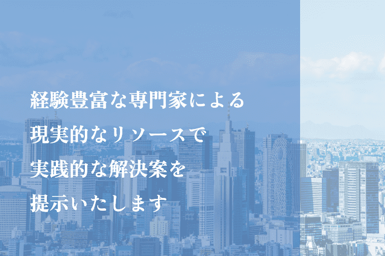 経験豊富な専門家による現実的なリソースで実践的な解決案を提示いたします